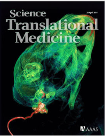 Translational Medicine image